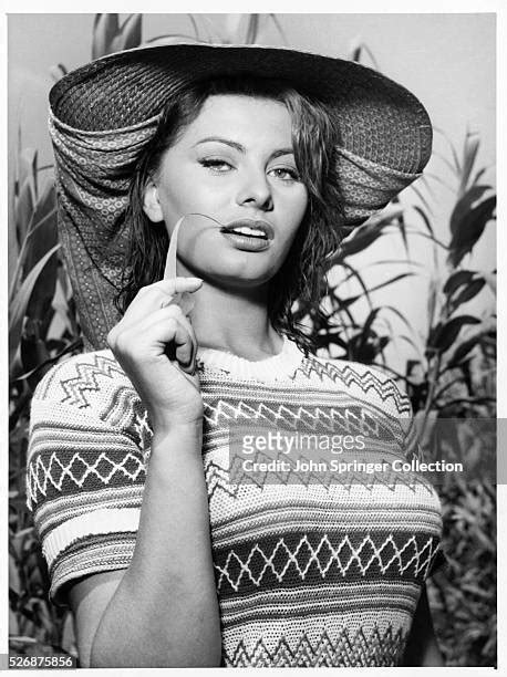 sophia loren young sexy|17,724 Sophia Loren Images Stock Photos & High